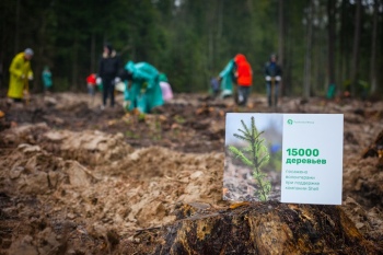 Автовладельцы и волонтёры восстановили пять гектаров  леса в Подмосковье